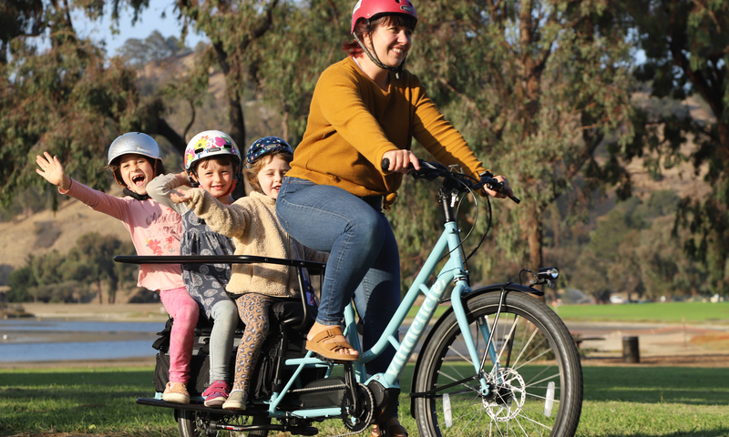 Schedule a Free Consultation