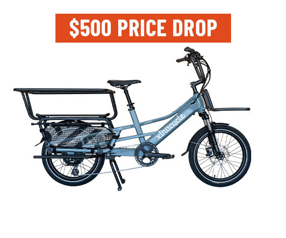 自転車本体 XTRACYCLE EDGERUNNER CLASSIC 26\"/20\" Xtracycle Edgerunner | Wakka Blog