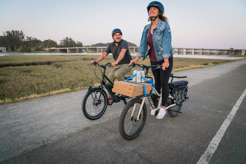 Diy Wheel Cargo Bike Ferla Family Bike Royce Edition: Modern Cargo