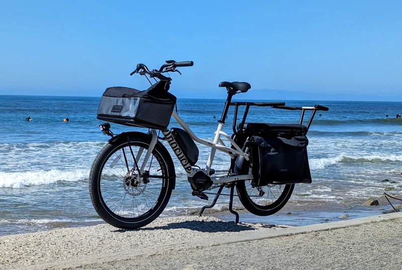 RFA Utility Electric Bike Low Step Thru E Bike Xtracycle