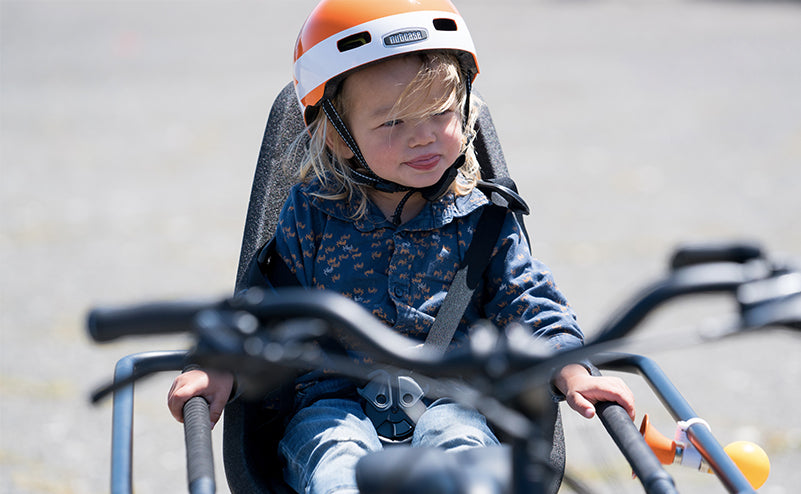 Thule Yepp 2 Maxi Baby Seat – Xtracycle