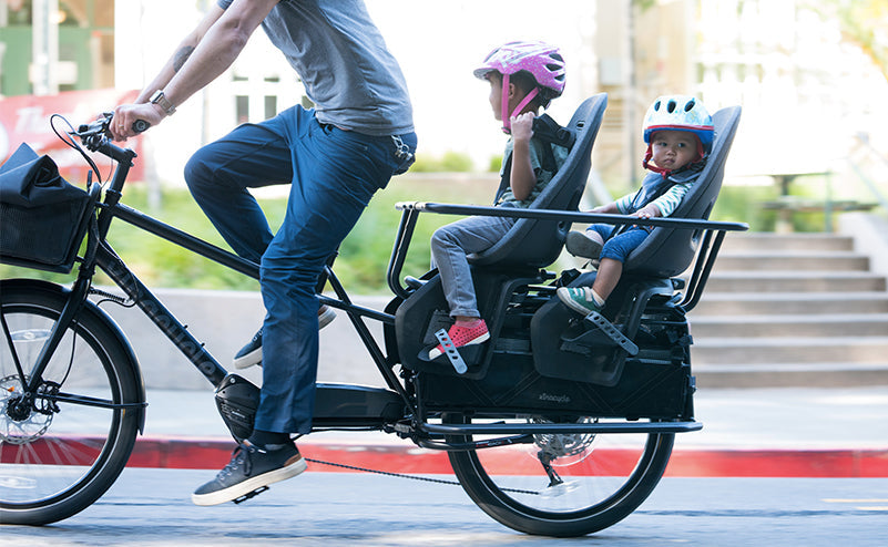 Thule Yepp Maxi Baby Seat – Xtracycle - Main Image