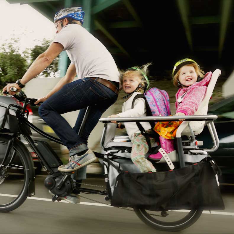 everyday bike child carrier